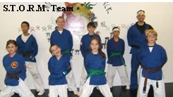STORM Team Pic old school villaris martial arts