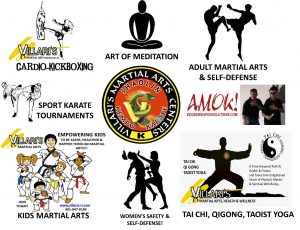 villaris martial arts offerings www.villaris-ri.com