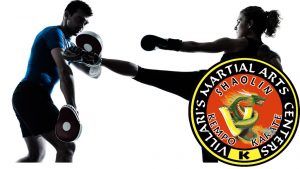 Adult VMA Villari's Martial Arts Training www.villaris-ri.com
